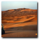 [Click to enlarge image]